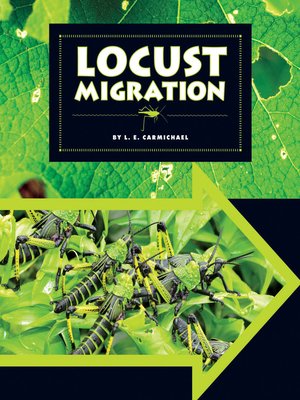 cover image of Locust Migration